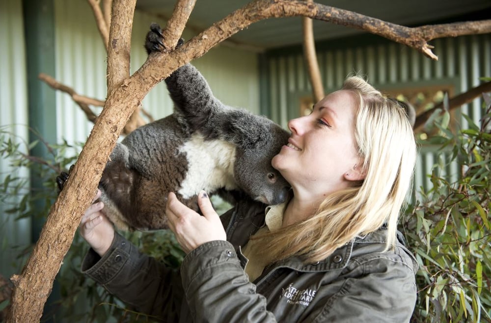 Booking Boss Featherdale Wildlife Park