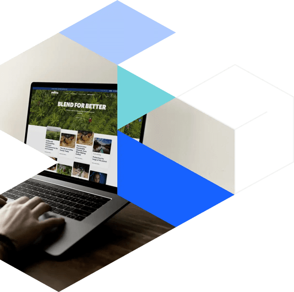 The b2b web design agency that empowers your brand