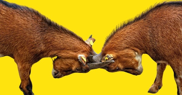Strategic edge: How b2b agency partnerships transform your marketing